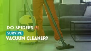 Do Spiders Survive Vacuum Cleaner
