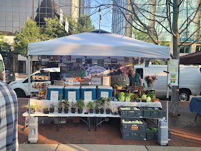 Dane County Farmers Market